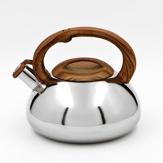 Чайник из нержавеющей стали со свистком Доляна «Квант», 2,8 л, фиксированная ручка soft-touch, цвет хромированный