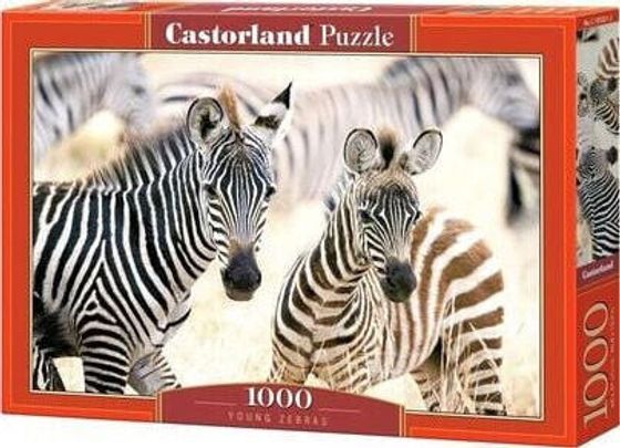 Castorland Puzzle 1000 Young Zebras CASTOR