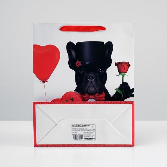 !Пакет подарочный 3 штуки ламинированный, 26 x 32 x 12 см