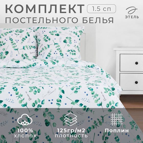 Постельное бельё «Этель» 1.5 сп Листья эвкалипта 143*215 см,150*214 см, 70*70 см 2 шт