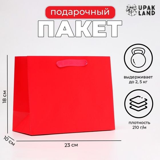 Пакет ламинированный «Фуксия», MS 23×18×10 см