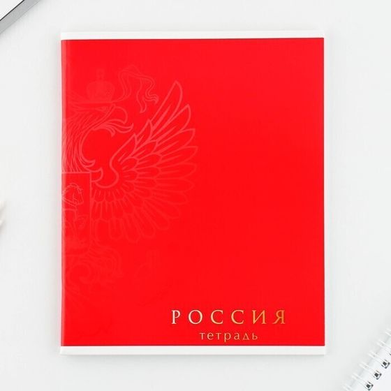 !09 Набор 4 штуки - Тетрадь А5, 48 л на скрепке МИКС «Шрифтовые яркие», обложка мелованный картон 230 гр., внутренний блок №1, в клетку 80 гр., белизна 96%