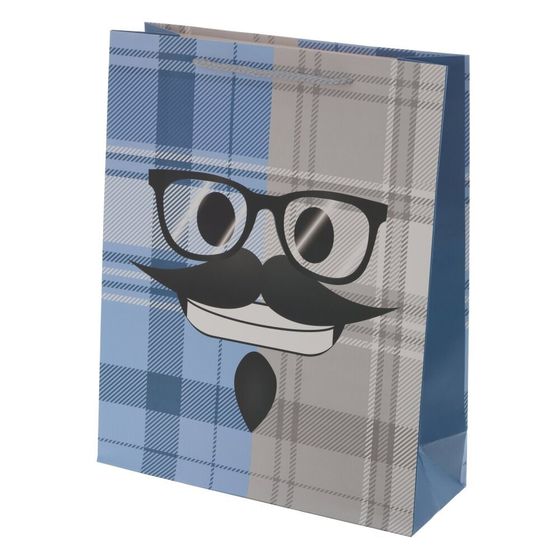 Пакет подарочный (бумага, плотность 210г/м2, блок микс 12шт), L26 W10 H32 см, 3в.