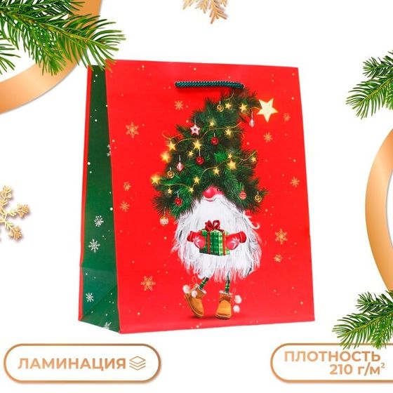 Пакет подарочный &quot;Маленький гном&quot;, 18 х 22,3 х 10 см.