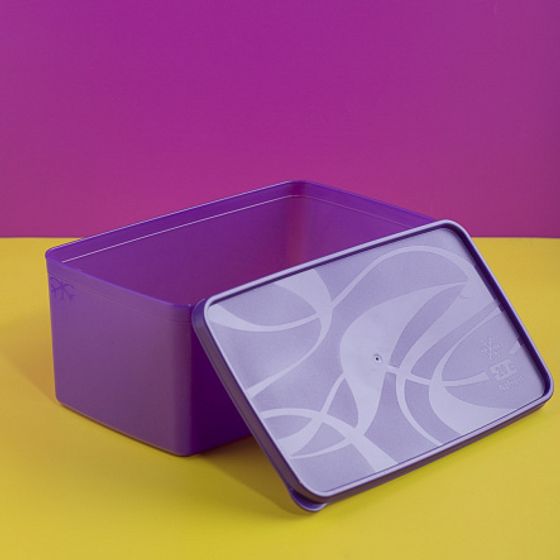 Контейнер для заморозки ALASKA 3.5л фиолетовый