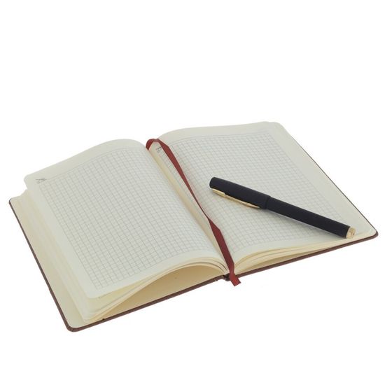 Набор из блокнота и ручки, Д19,5 Ш24,5 В4 см