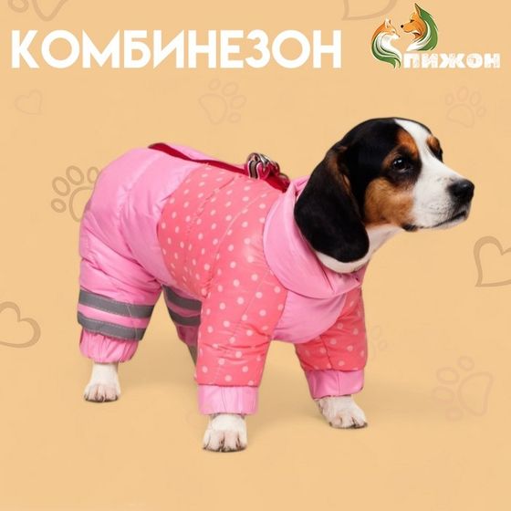 Комбинезон для собак &quot;Горошек&quot;, размер 20 (ДС 43, ОГ 56, ОШ 41 см), розовый