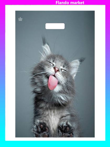 !Пакет &quot;Кот&quot; (10 шт), полиэтиленовый, с вырубной ручкой, 38 х 45 см, 60 мкм