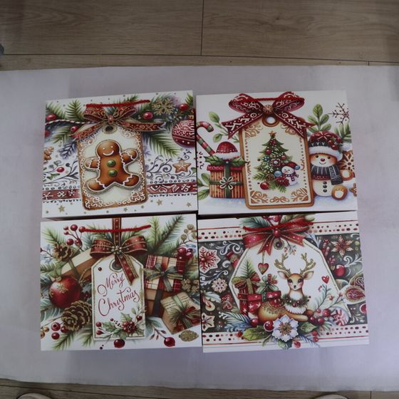 Пакет подарочный (бумага 210г/м2, блок 12шт), L18 W10 H23 см, 4в.