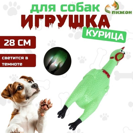 Игрушка пищащая &quot;Курица светящаяся&quot; для собак, 28 см, зелёная