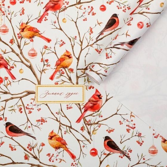 !09 Бумага упаковочная 2 листа глянцевая, &quot;Птицы на ветвях&quot;, 50 х 70 см.