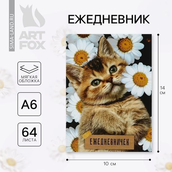 Ежедневник А6, 64 л. «Котёнок»