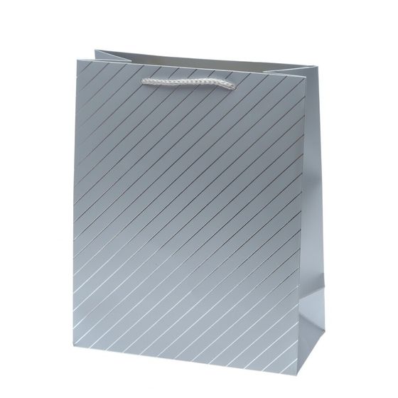 Пакет подарочный (бумага 210г/м2, блок 12шт), L26 W12 H32 см, 4в.