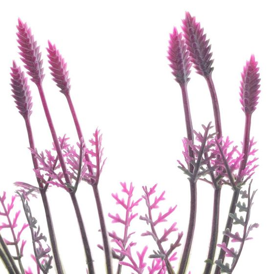 Цветок искусственный &quot;Амброзия&quot;, L10 W10 H40 см, 5в.