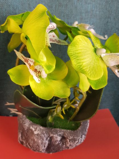 !09 Композиция цветочная L18 W18 H23 см.