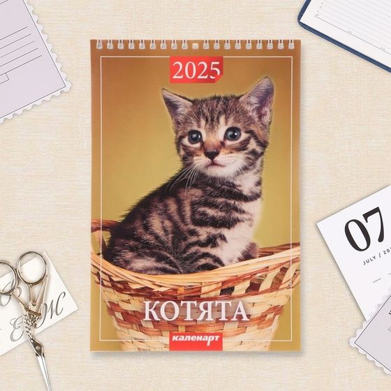 Календарь на пружине без ригеля &quot;Котята&quot; 2025 год, 17 х 25 см