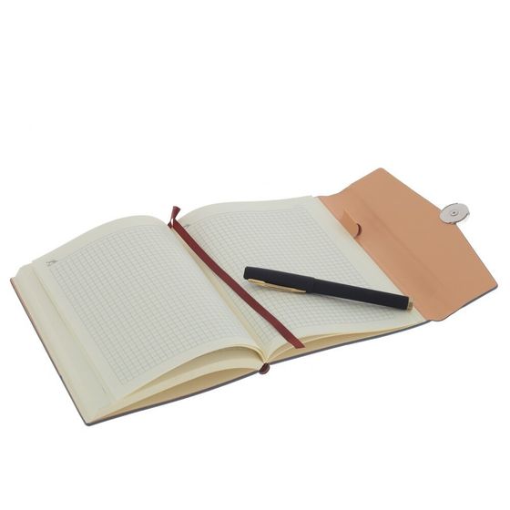 Набор из блокнота и ручки, Д19,5 Ш24,5 В4 см