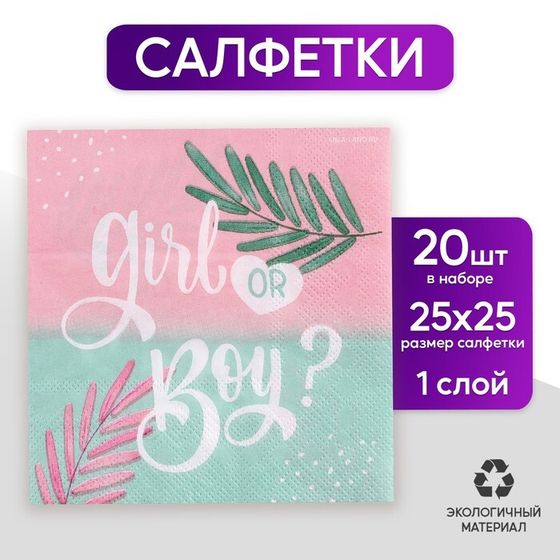 Салфетки «Girl or Boy», 25х25см, набор 20 шт.