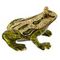 Шкатулка &quot;Лягушка&quot;, L7 W8 H4,5 см