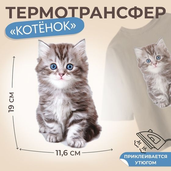 Термотрансфер «Котёнок», 11,6 × 19 см, цена за 1 лист