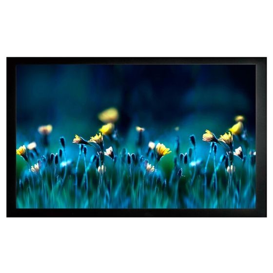 Экран Cactus 113x200см CS-PSFRE-200X113, 16:9, настенный, натяжной, на раме