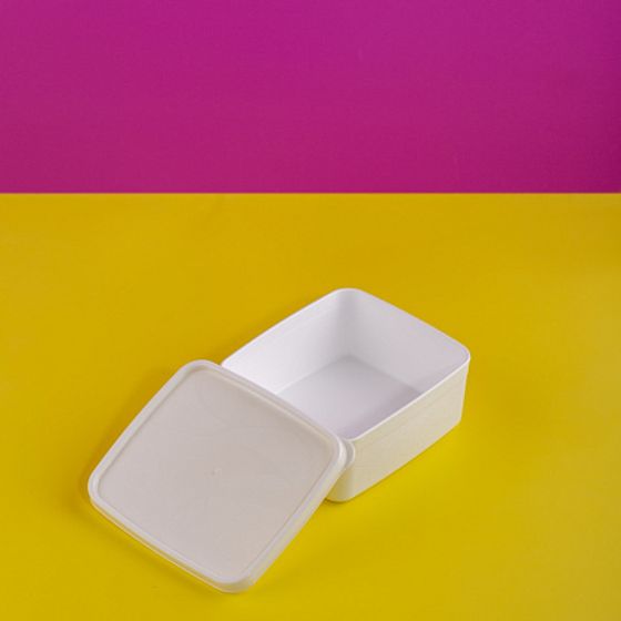 Контейнер для заморозки ALASKA 0.65л белый