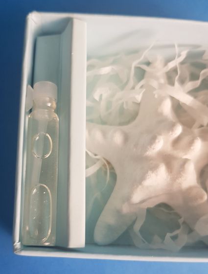 !09 Набор ароматический &quot;Ocean&quot; 2 предмета (аромамасло+ гипсовое изделие Звезда ) 9,2×8,1×3,5 см.