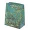 Пакет подарочный (бумага 210г/м2, блок 12шт), L18 W10 H23 см, 4в.