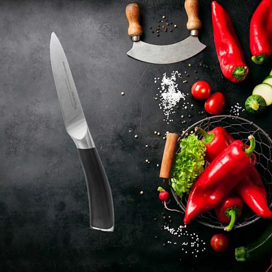 Нож для фруктов и овощей CHEF`S SELECT 10см