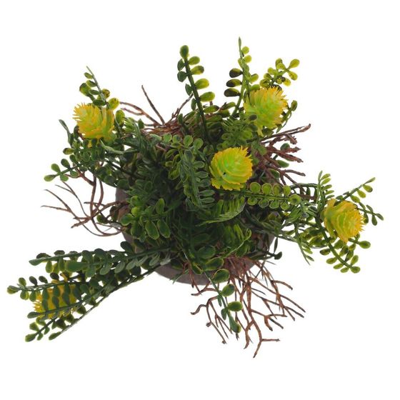 Цветочная композиция, L9 W9 H18 см, 5в.