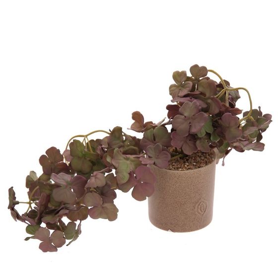 Цветочная композиция, L12 W12 H30 см