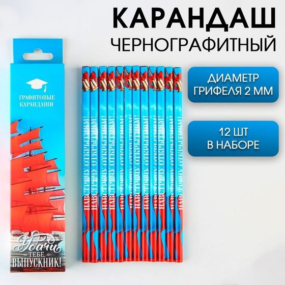 Карандаш простой чёрнографитный HB на выпускной «Удачи тебе, выпускник!» диаметр грифеля 2 мм, 12 штук