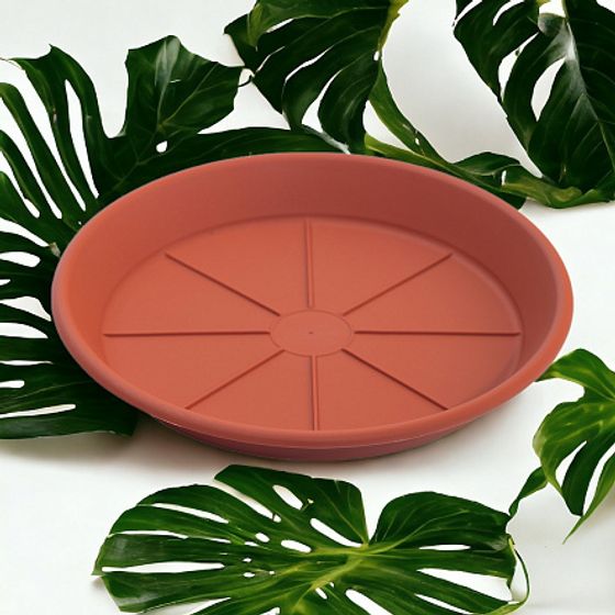 Поддон пластиковый 20см