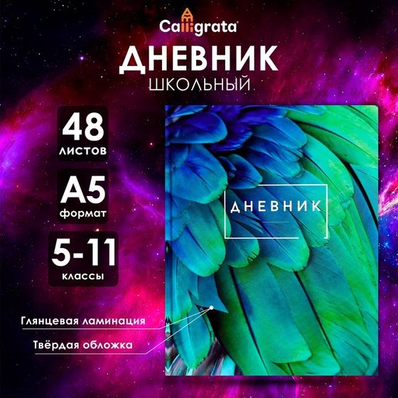 Дневник для 5-11 классов, &quot;Перья&quot;, твердая обложка 7БЦ, глянцевая ламинация, 48 листов