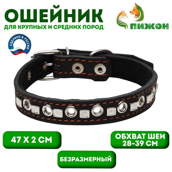 Ошейник кожаный  на синтепоне украшенный, безразмерный, 47 х 2 см, ОШ 28-39 см, чёрный
