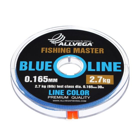 Леска монофильная ALLVEGA Fishing Master, диаметр 0.165  мм, тест 2.7 кг, 30 м, голубая