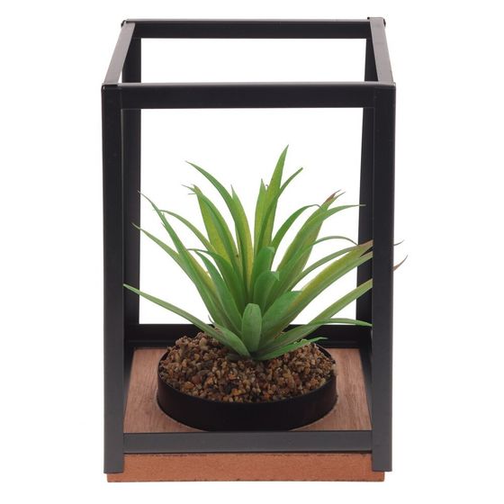 Цветочная композиция &quot;Суккулент&quot;, L14 W14 H21 см