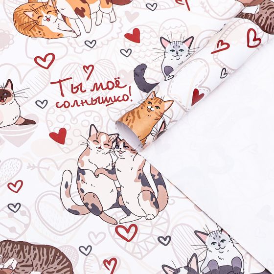 !09 Бумага упаковочная глянцевая «Ты мое солнышко», 60 × 90 см.