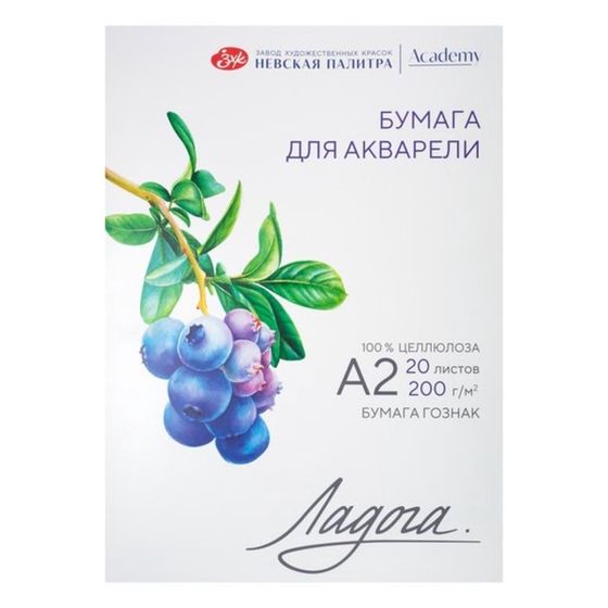 Бумага для Акварели в папке А2, ЗХК &quot;Ладога&quot;, 20 листов, 200 г/м2, среднезернистая, 252781931