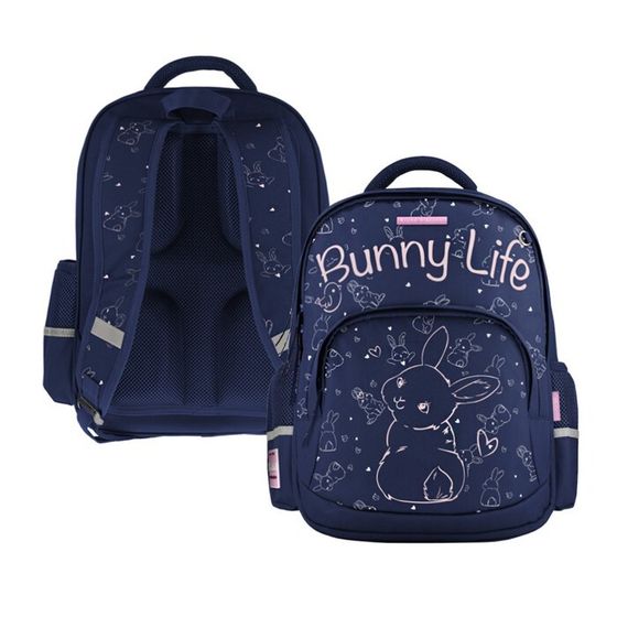 Рюкзак школьный 40 х 30 х 19 см, эргономичная спинка, Bruno Visconti 12-002 + пенал, BUNNY LIFE, синий