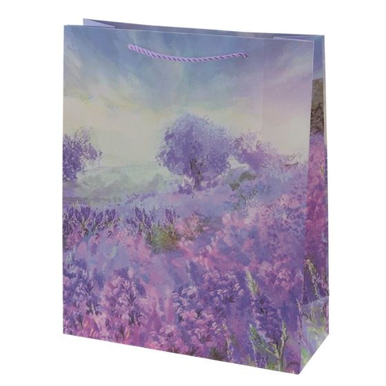 Пакет подарочный (бумага 210г/м2, блок микс 12шт), L26 W10 H32 см, 4в.