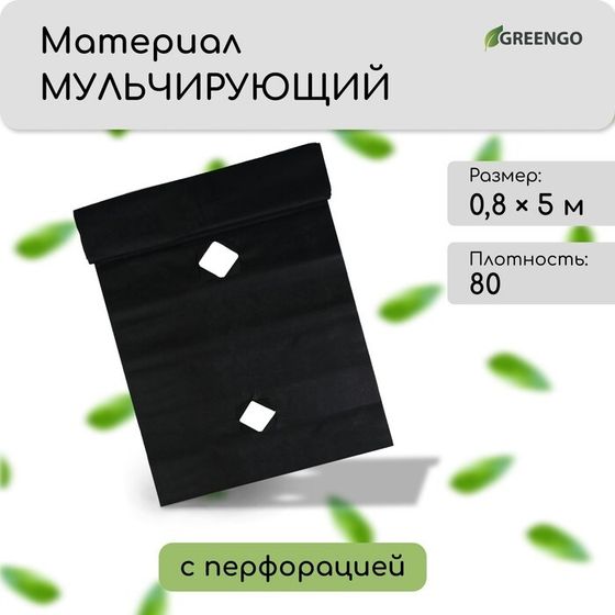 Материал мульчирующий, с перфорацией, 5 × 0,8 м, плотность 80 г/м², спанбонд с УФ-стабилизатором, чёрный, Greengo, Эконом 30%