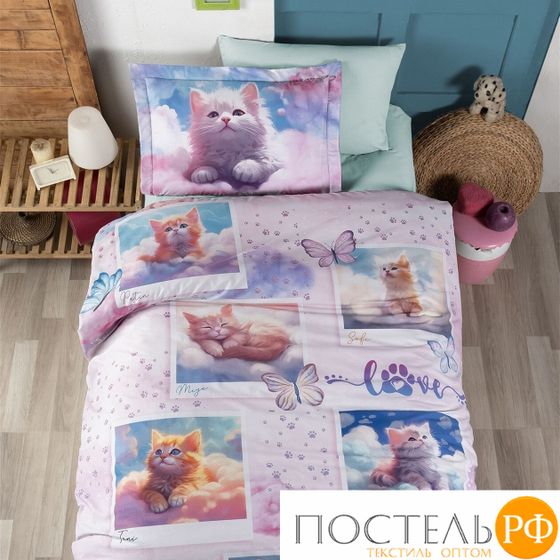 12175 КПБ DO&amp;CO RANFORCE 1,5 сп.(50*70 70*70 2шт) CUTE CATS
