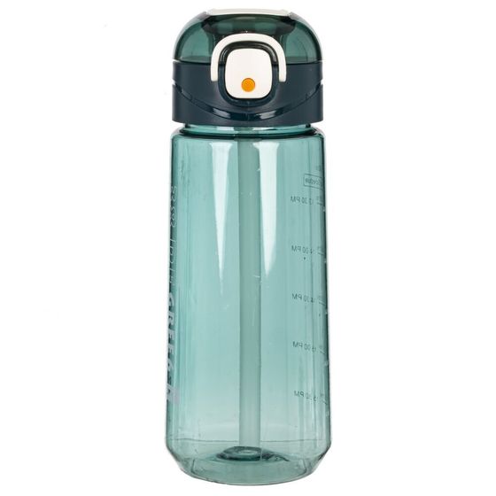 Бутылка, 590 мл, L7,5 W8 H20 см, 4в.