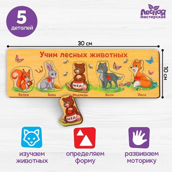 Рамка - вкладыш «Учим лесных животных», 5 элементов