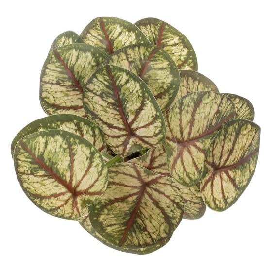 Цветочная композиция, L25 W25 H30 см, 5в.