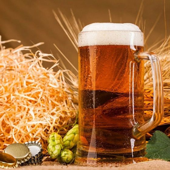 Набор кружек для пива ДРЕЗДЕН 2шт 330мл