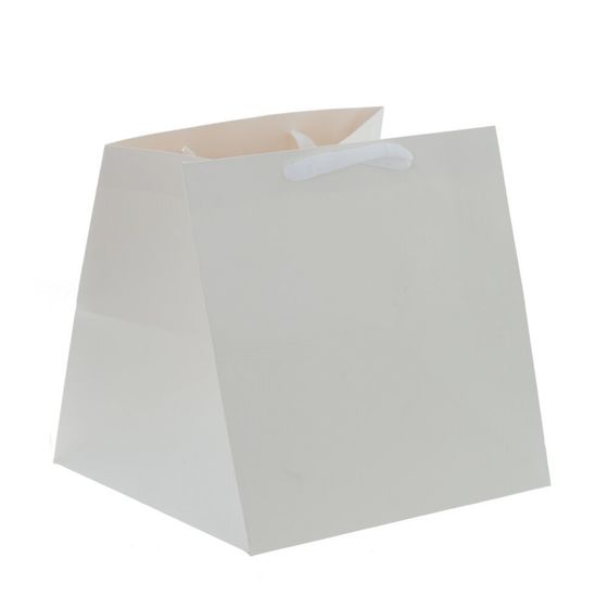 Пакет подарочный (бумага 210г/м2, блок 12шт), L26 W26 H26 см, 4в.