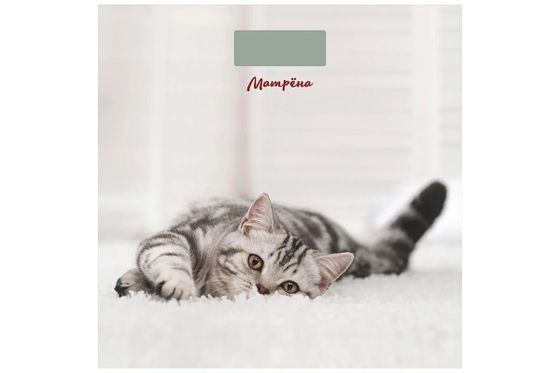 Весы напольные Матрёна МА-090 кот 180кг кот