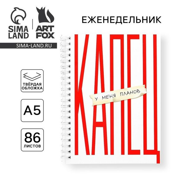 Еженедельник А5, 86 л. «Капец»